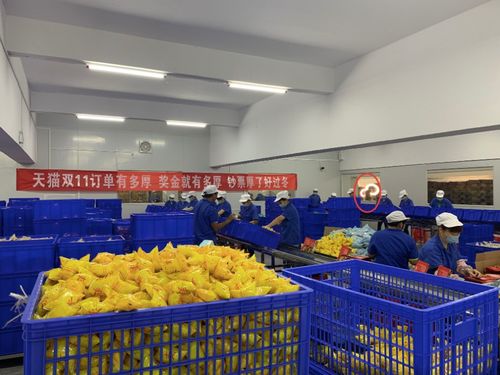 無(wú)人可擋 柳州螺螄粉與軟件開(kāi)發(fā)的融合發(fā)展